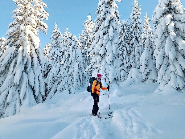 nizke tatry skialp