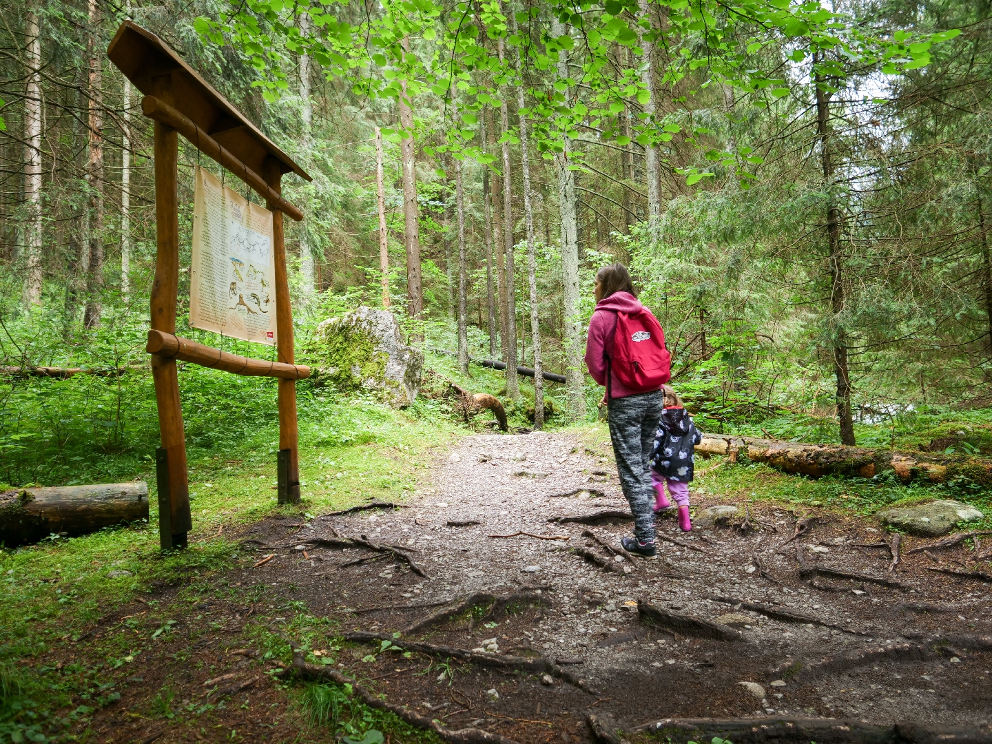 Náučný chodník Príbeh vody Demänovská dolina - Visit Liptov